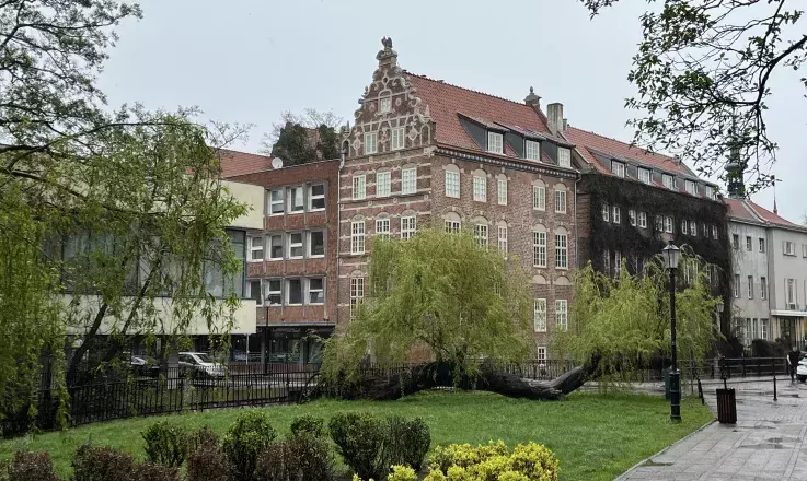 IHS
