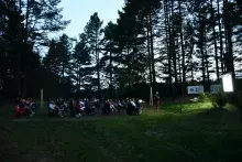 26