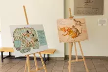 Animalia Domestica