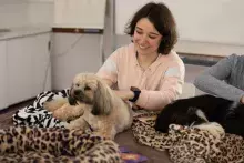 zajęcia dla studentów z terapii antystresowej z udziałem zwierząt