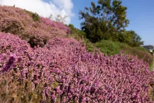 Europejski Instytut Morski (IUEM – Institut Universitaire Européen de la Mer) w Plouzané