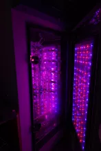 laboratoria Europejskiego Instytutu Morskiego (IUEM) w Plouzané