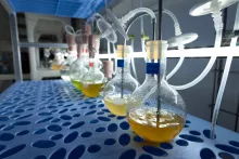 laboratoria Europejskiego Instytutu Morskiego (IUEM) w Plouzané