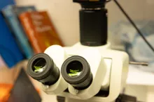 laboratoria Europejskiego Instytutu Morskiego (IUEM) w Plouzané