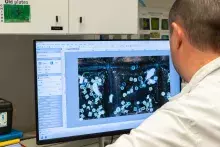 laboratoria Europejskiego Instytutu Morskiego (IUEM) w Plouzané