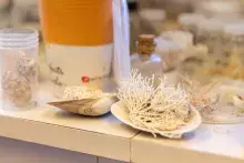 laboratoria Europejskiego Instytutu Morskiego (IUEM) w Plouzané