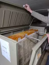 Wizyta studentów w Landesarchiv i Herzog August Bibliothek w Wolfenbüttel