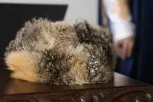 Maciej Jasiński o królu Janie III Sobieskim