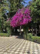 Kadyks, Hiszpania