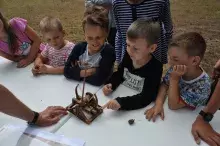 16