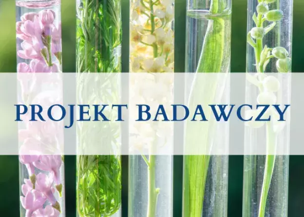 Wyniki rekrutacji do projektu badawczego