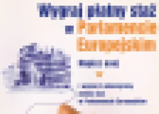 Staż w Parlamencie Europejskim