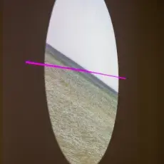 www